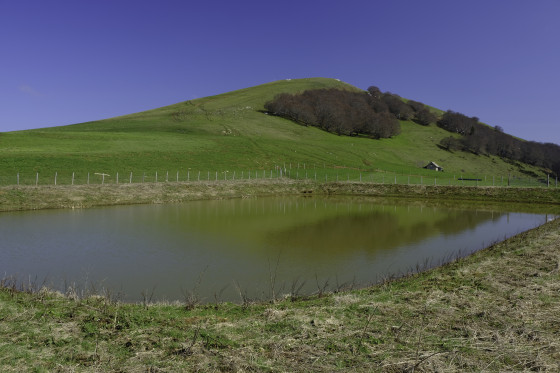 Arrivée sur les Alpages du Conest