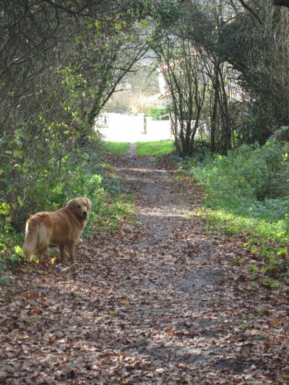 Arrivée sur Vazelle