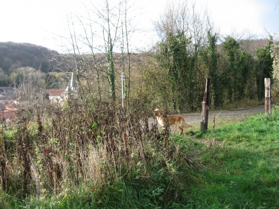Arrivée sur voie verte