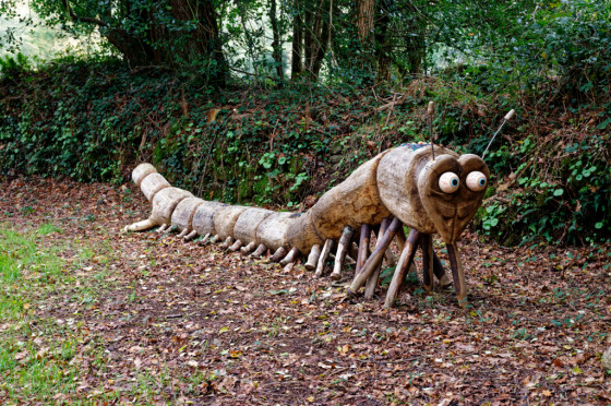 Mille-pattes de Touldu