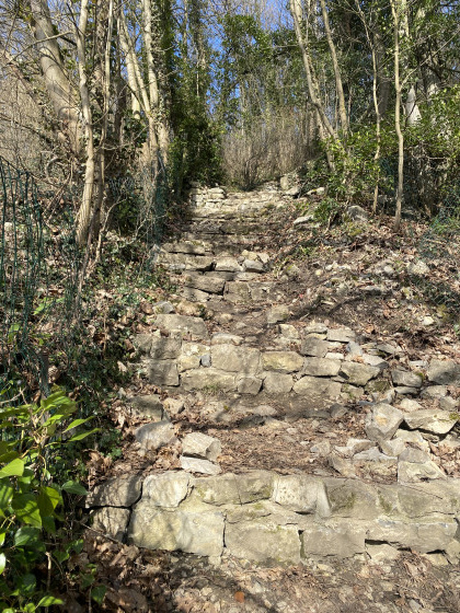Ascension c&ocirc;t&eacute; D&icirc;nant