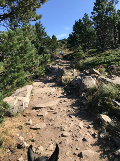 Ascension du Mont M&eacute;zenc