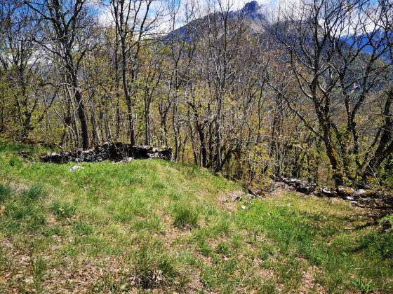 Ascension du mont Morbié