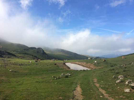 Ascension jusqu\'au Col de Cournudère
