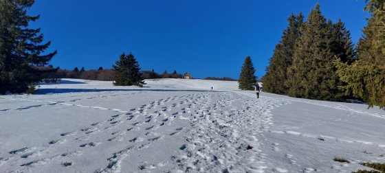Ascension vers la bergerie
