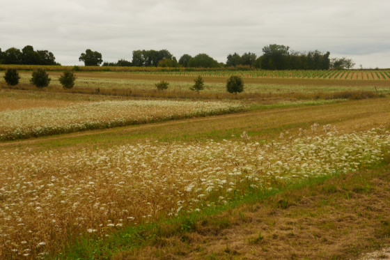 Asni&egrave;res sur Nou&egrave;re paysage
