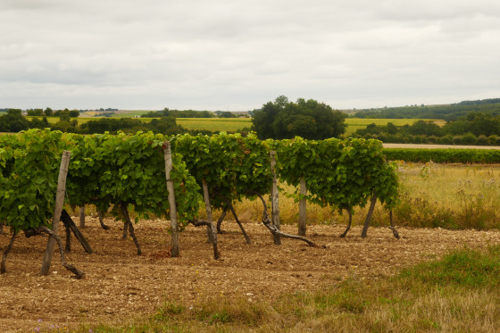 Asni&egrave;res sur Nou&egrave;re