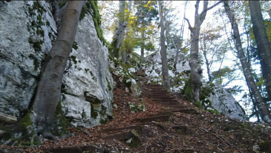 Attention la descente