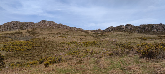 Atxuria