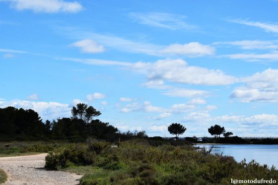 Au bord de l\'étang