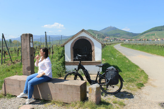 Au bord de la Véloroute du Vignoble