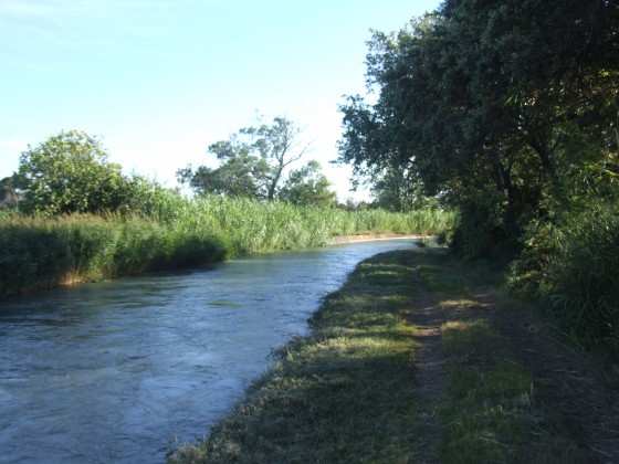 Au bord du canal