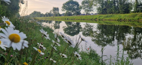 Au bord du canal