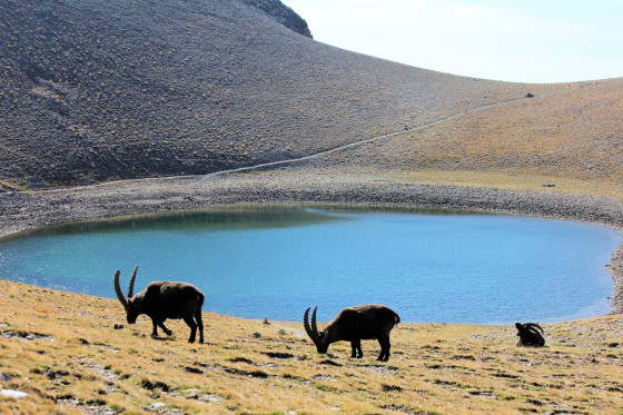 au bord du lac des Garrets