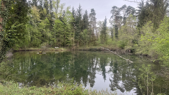 au bord du lac point 4