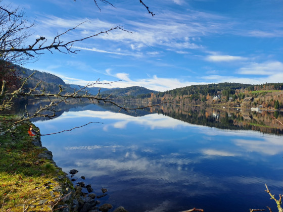 Au bord du lac Titisee