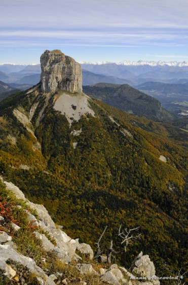 Au bord du Plateau