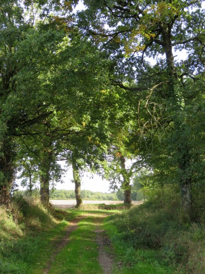 Au bout de l\'allée des Chapelettes au hameau du Tarde