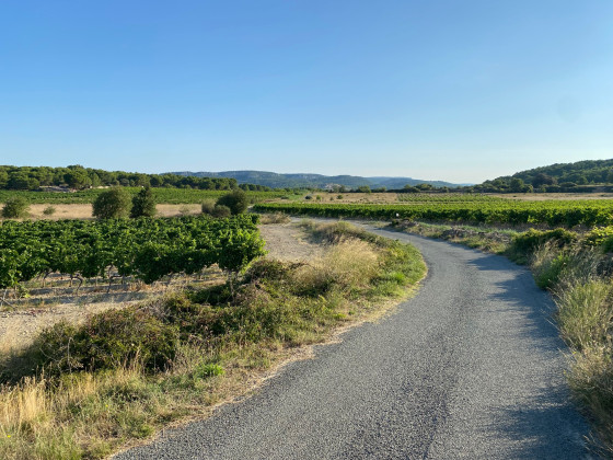 Au coeur de l\'île