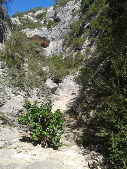 Au cœur des gorges
