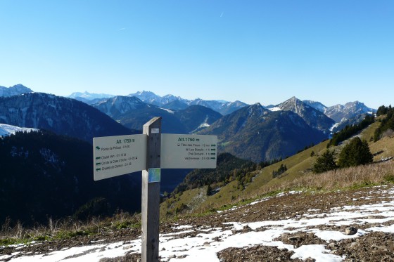 Au collet