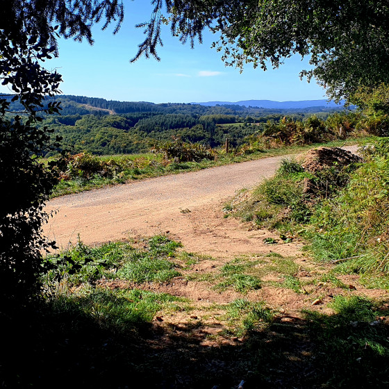 Au d&eacute;bouch&eacute; d'un chemin