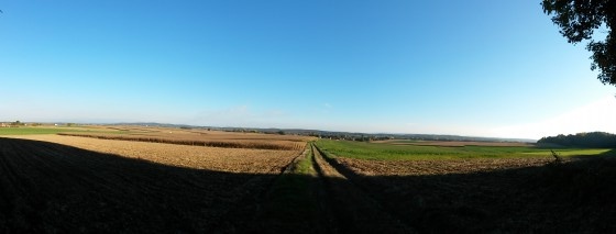Au débouché de la forêt