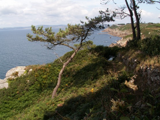 Au débouché sur le sentier côtier