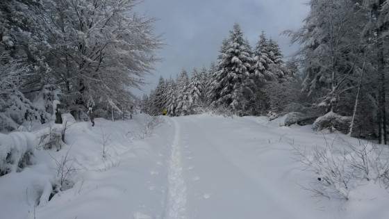 au départ de la croix du Fau
