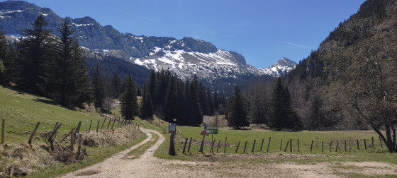 Au départ de la montée