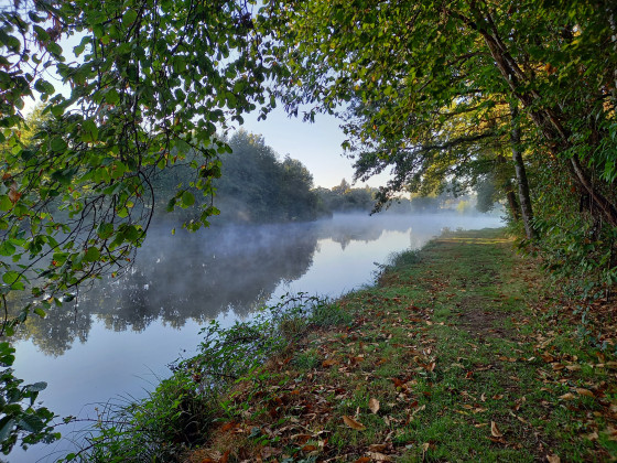 Au départ de Massignac, rive gauche, brumes d'automne