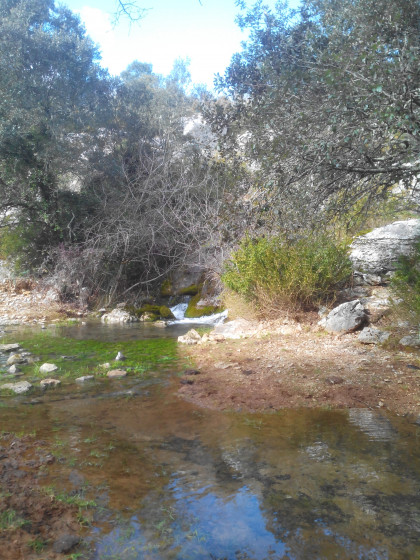 Au d&eacute;part du ruisseau de Bourbouillet