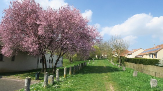 Au départ