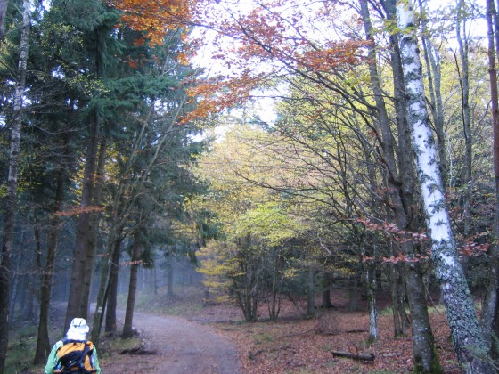 Au dessus de la brume