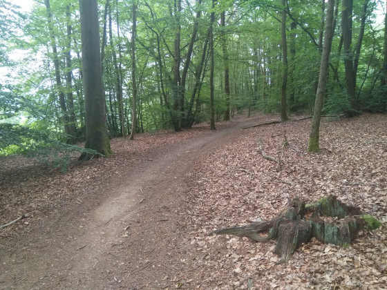 Au dessus de la Roche Martin
