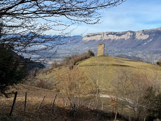 Au dessus de la tour