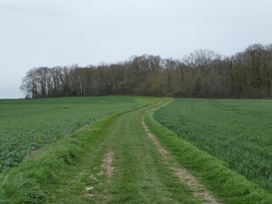 Au dessus des carri&egrave;res