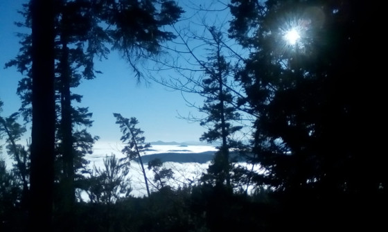 Au-dessus des nuages