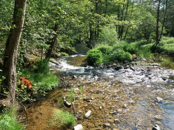 Au gu&eacute; du Moulin de Victoron