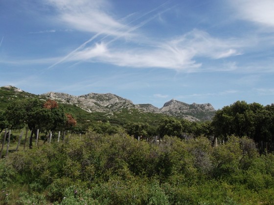au loin la tour