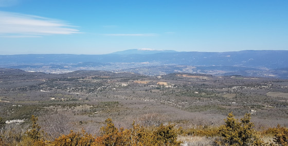 Au loin le Mont Ventoux