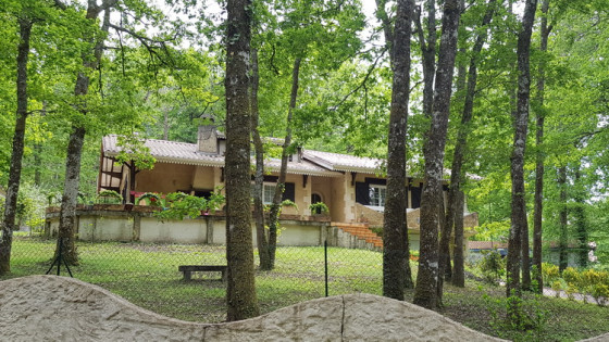 Au milieu des bois