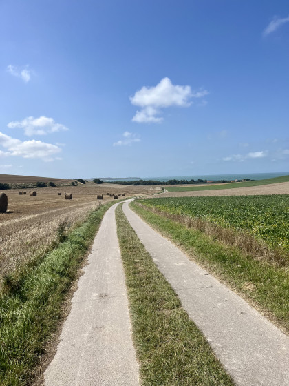 Au milieu des champs