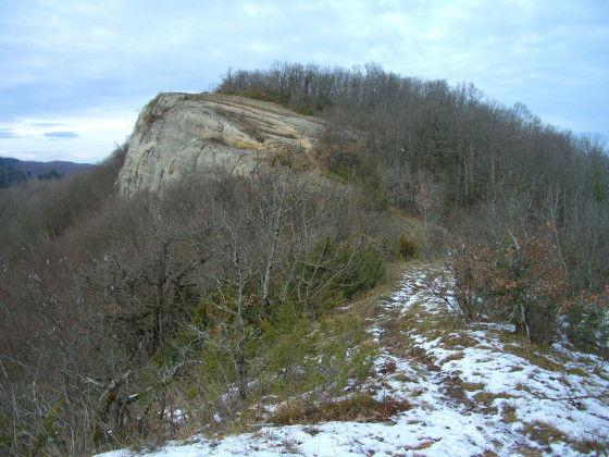 Au nord du Mont Chaffaron
