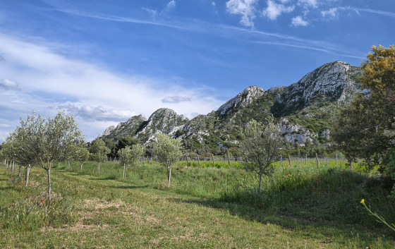 Au pied de la Caume