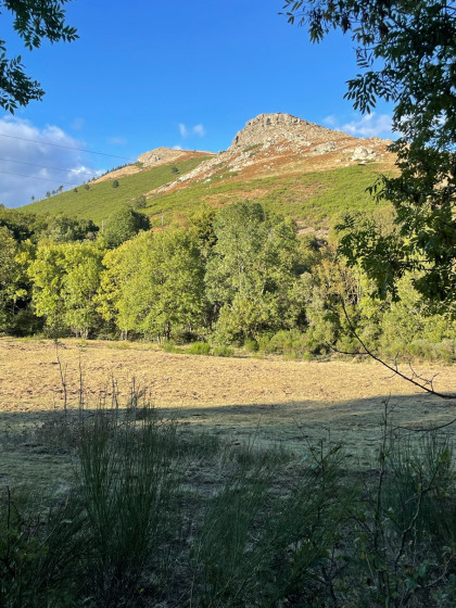 au pied de Roc Laur&egrave;s