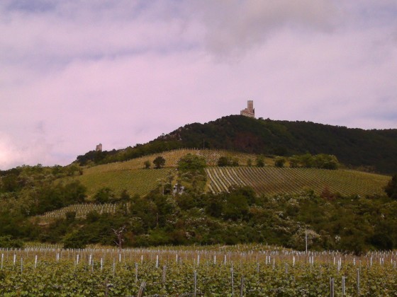Au pied du ch&acirc;teau de l'Ortenbourg
