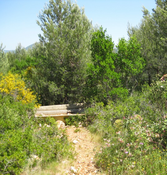 Au point 8, un abreuvoir