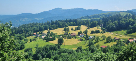 Au retour, le chemin propose un autre aperçu sur la combe du Frenz.