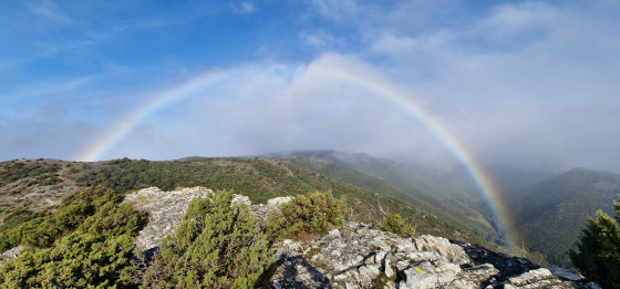 Au Roc de l'Aigle, c'est un arc-en-ciel qui a pris son envol